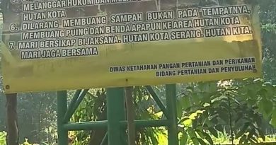 Hutan kota akan segera dibangun di Kota Serang untuk tujuan wisata Hutan kota akan segera dibangun di Kota Serang untuk tujuan wisata