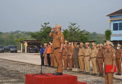 BKN:PNS tak ikut Pelatihan Dasar atau tak Lolos “Passing Grade” Bakal di Berhentikan BKN:PNS tak ikut Pelatihan Dasar atau tak Lolos “Passing Grade” Bakal di Berhentikan