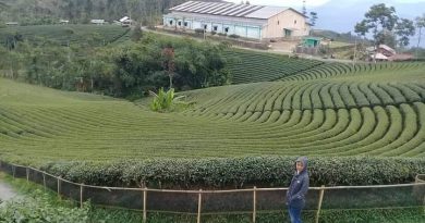 Destinasi Wisata Kebun teh di Lebak Banten Indah alam nya sungguh menakjubkan Destinasi Wisata Kebun teh di Lebak Banten Indah alam nya sungguh menakjubkan