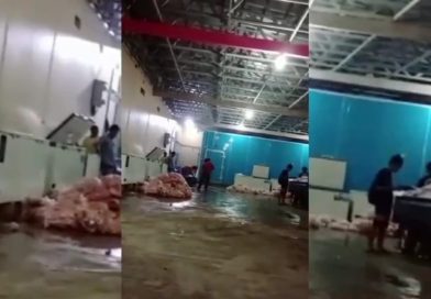 Warga Desa Ranjeng Mengeluhkan Adanya Bau Busuk yang Berasal dari Perusahaan Pengolahan Ayam yang Diduga ilegal Warga Desa Ranjeng Mengeluhkan Adanya Bau Busuk yang Berasal dari Perusahaan Pengolahan Ayam yang Diduga ilegal