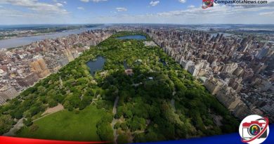 Dampak Hutan Kota Terhadap Lingkungan Hidup Hutan kota di Central Park Amerika