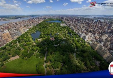 Dampak Hutan Kota Terhadap Lingkungan Hidup Hutan kota di Central Park Amerika