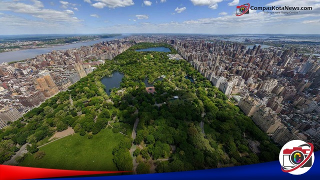 Hutan kota di Central Park Amerika