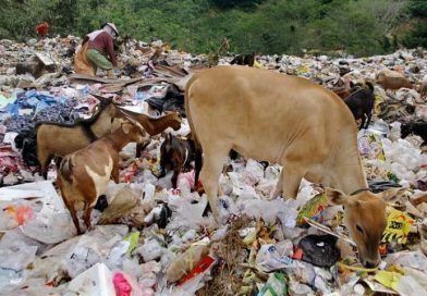 Pengelolaan Sampah ITF Sunter Hasilkan Listrik 35 MW, Kurangi 30 Persen Sampah Jakarta Pengelolaan Sampah ITF Sunter Hasilkan Listrik 35 MW, Kurangi 30 Persen Sampah Jakarta
