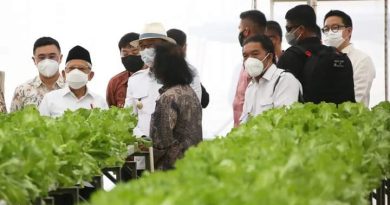 PJ Gubernur Banten Al Muktabar Dampingi Wapres KH Ma’aruf Amin Meninjau usaha pertanian hidroponik PJ Gubernur Banten Al Muktabar Dampingi Wapres KH Ma’aruf Amin Meninjau usaha pertanian hidroponik