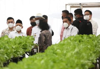 PJ Gubernur Banten Al Muktabar Dampingi Wapres KH Ma’aruf Amin Meninjau usaha pertanian hidroponik PJ Gubernur Banten Al Muktabar Dampingi Wapres KH Ma’aruf Amin Meninjau usaha pertanian hidroponik