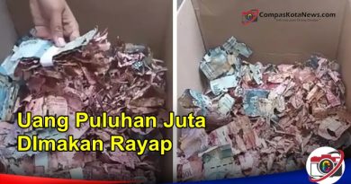 Uang Milik Penjaga Sekolah Dimakan Rayap, Jumlahnya Bikin Kaget Uang Milik Penjaga Sekolah Dimakan Rayap, Jumlahnya Bikin Kaget