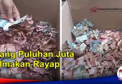 Uang Milik Penjaga Sekolah Dimakan Rayap, Jumlahnya Bikin Kaget Uang Milik Penjaga Sekolah Dimakan Rayap, Jumlahnya Bikin Kaget