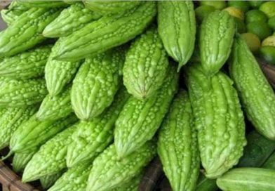 Buah Parea Bisa Mengatasi 9 Jenis Penyakit Kronis Buah Parea Bisa Mengatasi 9 Jenis Penyakit Kronis