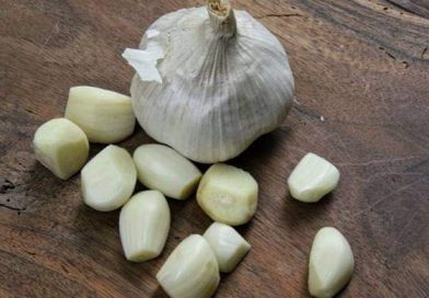 Tiap Hari Konsumsi Bawang Putih Berkhasiat Tinggi Untuk Tubuh Tiap Hari Konsumsi Bawang Putih Berkhasiat Tinggi Untuk Tubuh