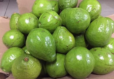 10 Makanan Yang Bisa Menurunkan Kolesterol Tinggi, Enak Dan Mudah di Dapat 10 Makanan Yang Bisa Menurunkan Kolesterol Tinggi, Enak Dan Mudah di Dapat