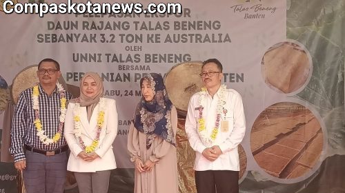 Pelepasan Exspor 3,2 Ton Daun Rajang Talas Beneng di Kota Serang Dihadiri Hj Nuraeni DPR RI Komisi IV Pelepasan Exspor 3,2 Ton Daun Rajang Talas Beneng di Kota Serang Dihadiri Hj Nuraeni DPR RI Komisi IV