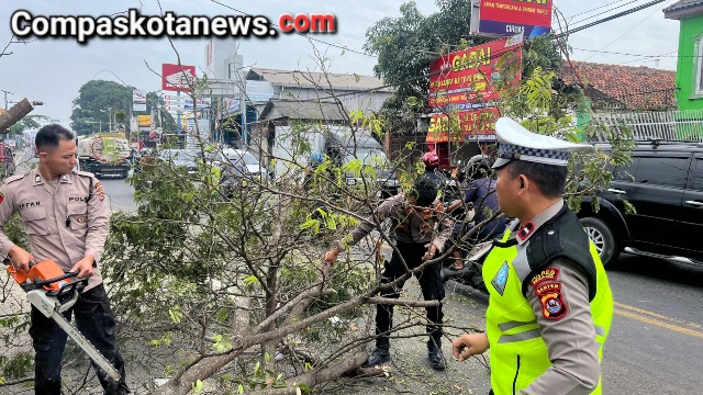 Personel Satsamapta Polres Serang Respon Cepat aduan Masyarakat Untuk Evakuasi Pohon Tumbang di Jalan Raya Personel Satsamapta Polres Serang Respon Cepat aduan Masyarakat Untuk Evakuasi Pohon Tumbang di Jalan Raya