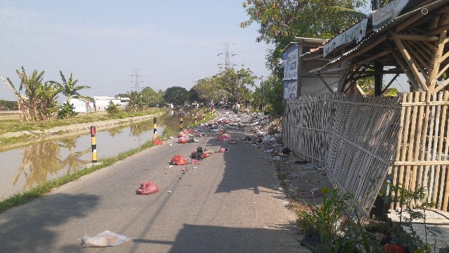 Sampah Berserakan di Jalan Desa Ciruas Kp Cembeh, Terlihat Kumuh Dan Menimbulkan Bau Sampah Berserakan di Jalan Desa Ciruas Kp Cembeh, Terlihat Kumuh Dan Menimbulkan Bau