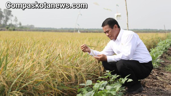 Dalam Rangka Peningkatan Produksi Pangan di Indonesia, Mentan Genjot Produksi Padi dan Jagung, Siapkan Rp 5,8 Triliun Dalam Rangka Peningkatan Produksi Pangan di Indonesia, Mentan Genjot Produksi Padi dan Jagung, Siapkan Rp 5,8 Triliun