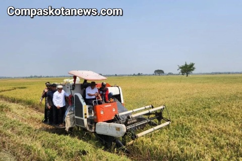 Inilah Persiapan Panen Raya Dari Tiga Komoditas Utama Penghasil di Provinsi Banten Inilah Persiapan Panen Raya Dari Tiga Komoditas Utama Penghasil di Provinsi Banten