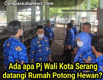 Pj Wali Kota Serang Yedi Rahmat: Rumah Potong Hewan (RPH) di Lingkungan Trondol Butuh Perbaikan Menyeluruh Pj Wali Kota Serang Yedi Rahmat: Rumah Potong Hewan (RPH) di Lingkungan Trondol Butuh Perbaikan Menyeluruh