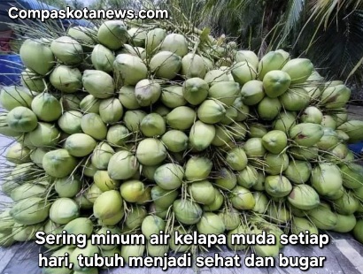 Rahasia dan Manfaat Minum Air Kelapa Setiap Hari: Bikin Gairah Hidup Sehat yang Menyegarkan Rahasia dan Manfaat Minum Air Kelapa Setiap Hari: Bikin Gairah Hidup Sehat yang Menyegarkan