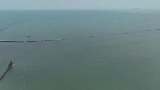 Misteri Pagar Raksasa 30 Km di Laut Tangerang yang Bikin Nelayan Resah Misteri Pagar Raksasa 30 Km di Laut Tangerang yang Bikin Nelayan Resah
