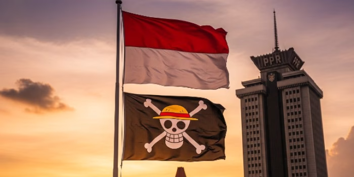 Fenomena Bendera One Piece, DPR Ingatkan Potensi Pecah Belah Bangsa