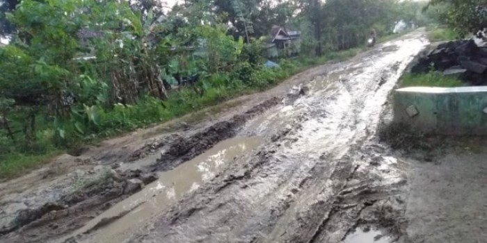 Jalan Penghubung Tiga Desa di Patia Pandeglang Rusak Parah, Warga Harap Pemerintah Segera Bertindak