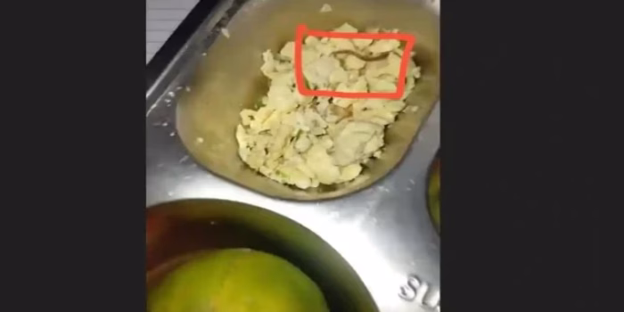 Cacing Tanah di Menu MBG SMA 6 Medan Viral, BGN Sumut Turun Tangan