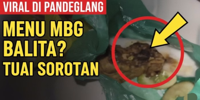 Viral Video Diduga Menu Makan Bergizi Gratis untuk Balita di Pandeglang Tuai Sorotan Warganet