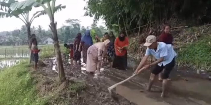 Warga Kampung Parung Tanam Padi dan Pohon Pisang di Jalan Rusak, Bentuk Protes Minta Perbaikan