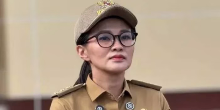 Gubernur Sherly Didenda Rp500 Miliar, Satgas PKH Tindak Tegas Tambang Nikel Ilegal