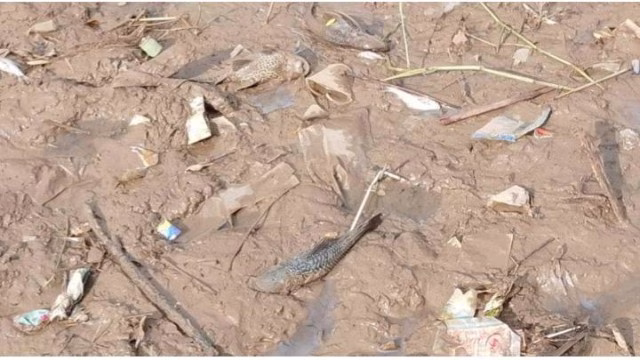 Warga Cikokol Alami Pusing Usai Konsumsi Ikan ‘Mabok’ Cisadane, Polisi Minta Hentikan Sementara Aktivitas Tangkap Ikan Warga Cikokol Alami Pusing Usai Konsumsi Ikan ‘Mabok’ Cisadane, Polisi Minta Hentikan Sementara Aktivitas Tangkap Ikan