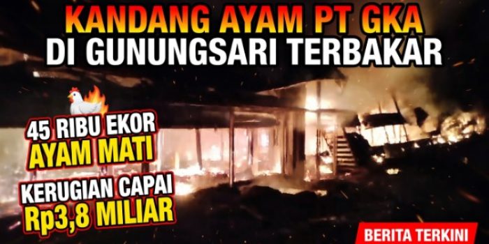 Kandang Ayam PT GKA di Gunungsari Terbakar, 45 Ribu Ekor Ayam Mati, Kerugian Capai Rp3,8 Miliar