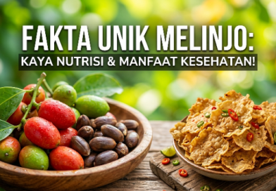 Fakta Unik Melinjo: Kandungan Gizi Menyeluruh dan Beragam Manfaat Kesehatan yang Belum Banyak Diketahui Fakta Unik Melinjo: Kandungan Gizi Menyeluruh dan Beragam Manfaat Kesehatan yang Belum Banyak Diketahui