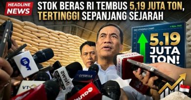 Stok Beras RI Tembus 5,19 Juta Ton, Tertinggi Sepanjang Sejarah Stok Beras RI Tembus 5,19 Juta Ton, Tertinggi Sepanjang Sejarah