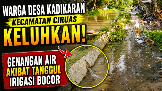 Warga Desa Kadikaran Kecamatan Ciruas Keluhkan Genangan Air Akibat Tanggul Irigasi Bocor Warga Desa Kadikaran Kecamatan Ciruas Keluhkan Genangan Air Akibat Tanggul Irigasi Bocor