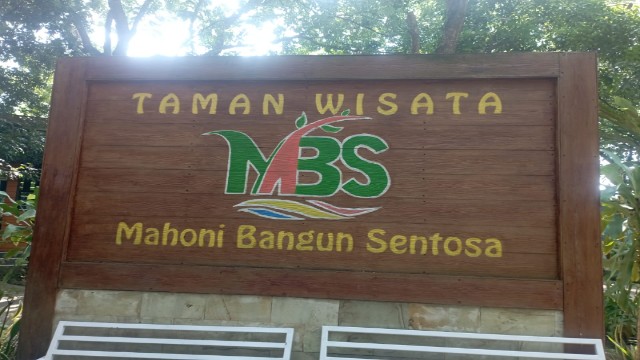 MBS Mahoni Bangun Sentosa Hadirkan Destinasi Wisata Keluarga yang Asri dan Edukatif MBS Mahoni Bangun Sentosa Hadirkan Destinasi Wisata Keluarga yang Asri dan Edukatif