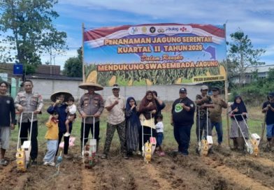 Dukung Swasembada Pangan, Polsek Bojongmanik Gelar Penanaman Jagung Serentak Kuartal II 2026